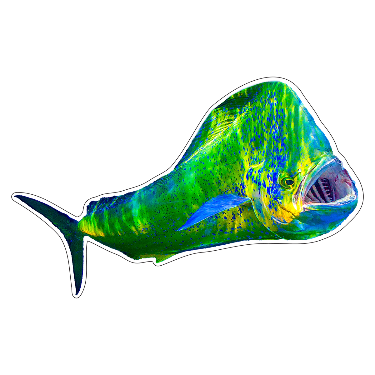 Mahi Mahi (Option 1)