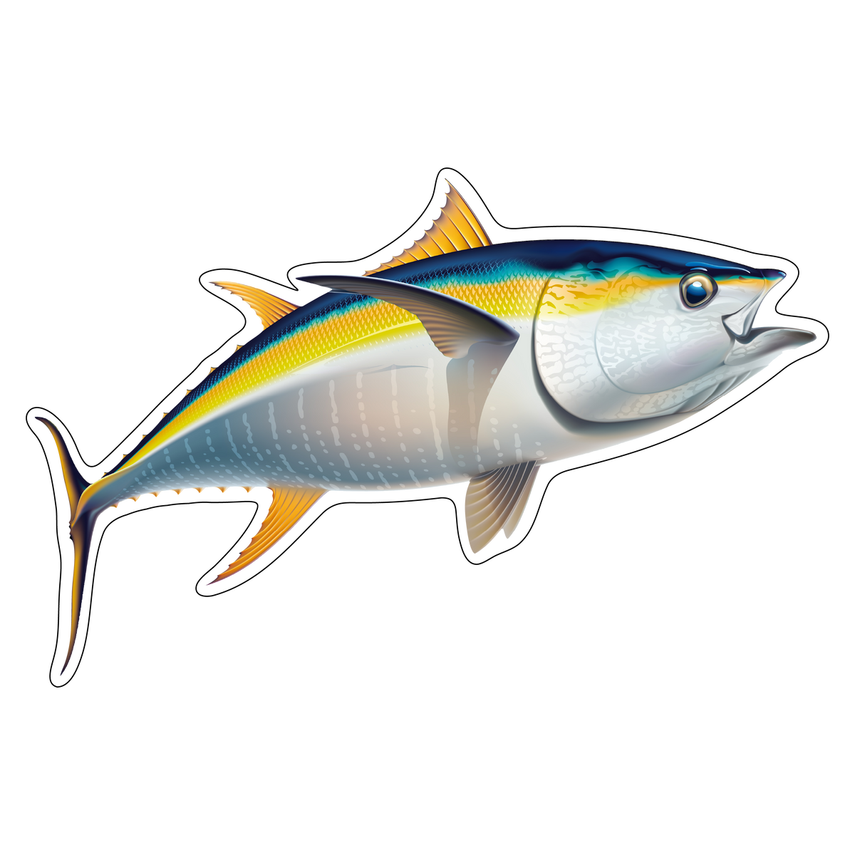 Yellowfin Tuna