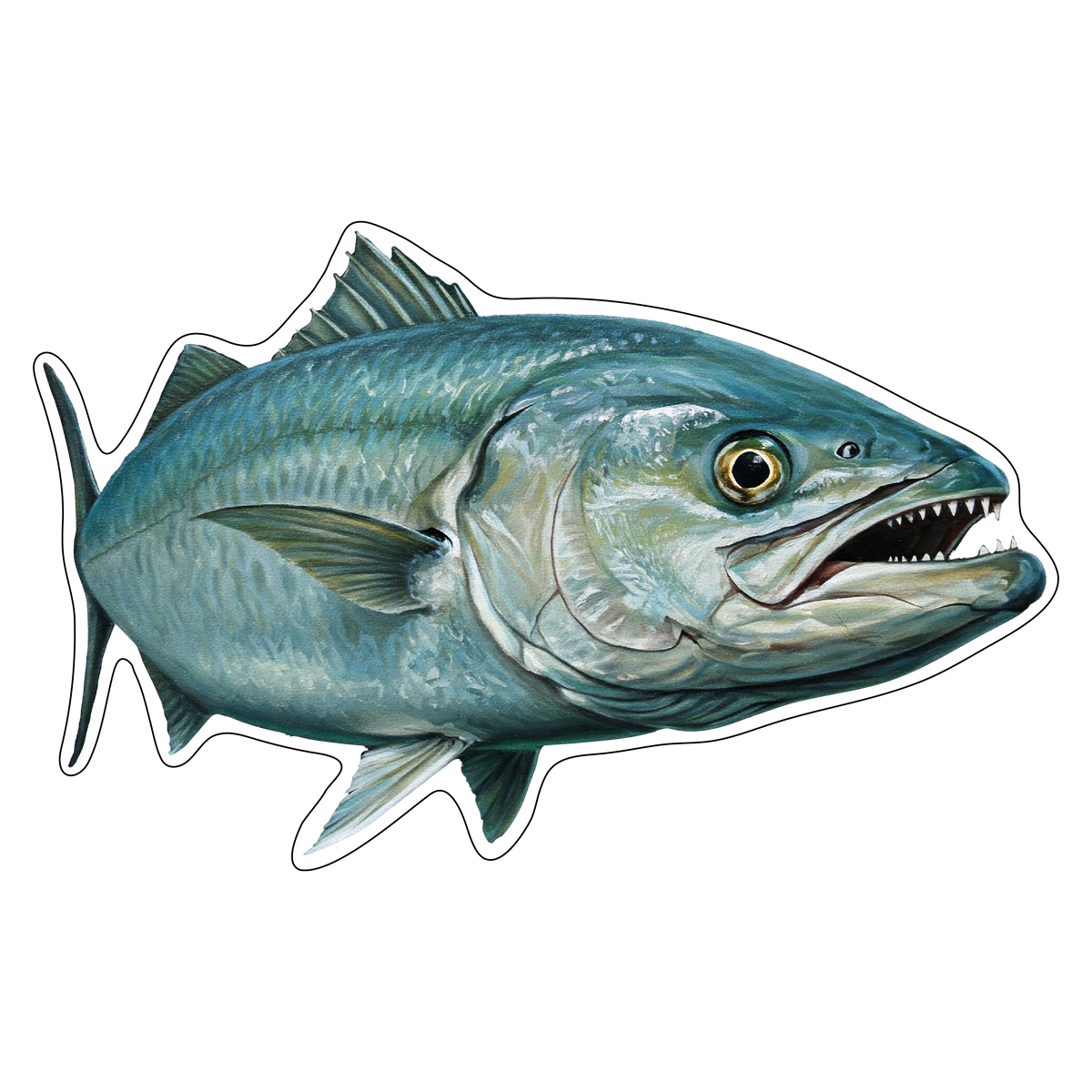 Blue Fish (option 1)