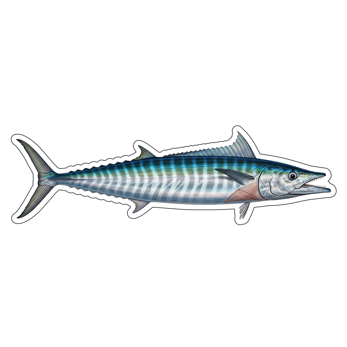 Wahoo