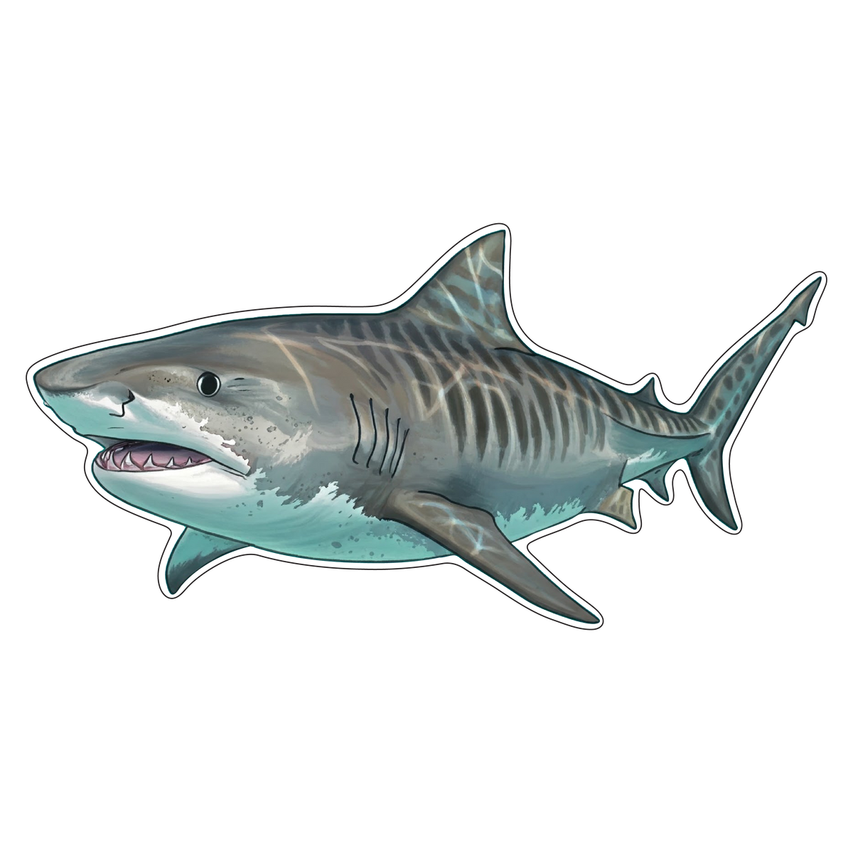 Great White Shark (Option 1)