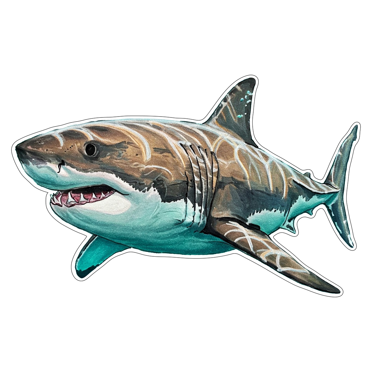 Great White Shark (Option 2)