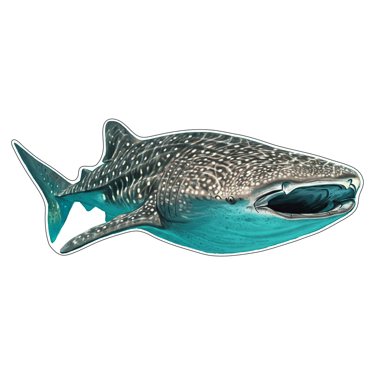 Whale Shark