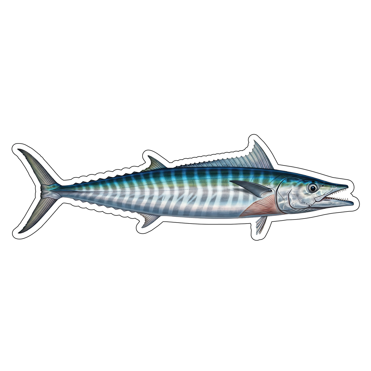 Wahoo