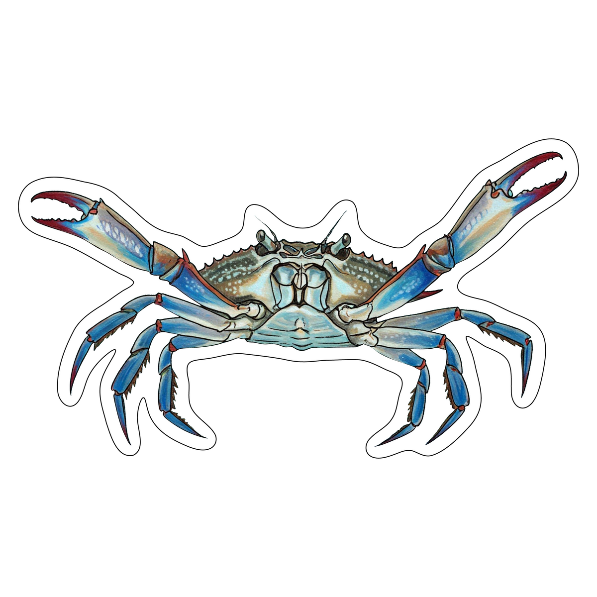 Crab
