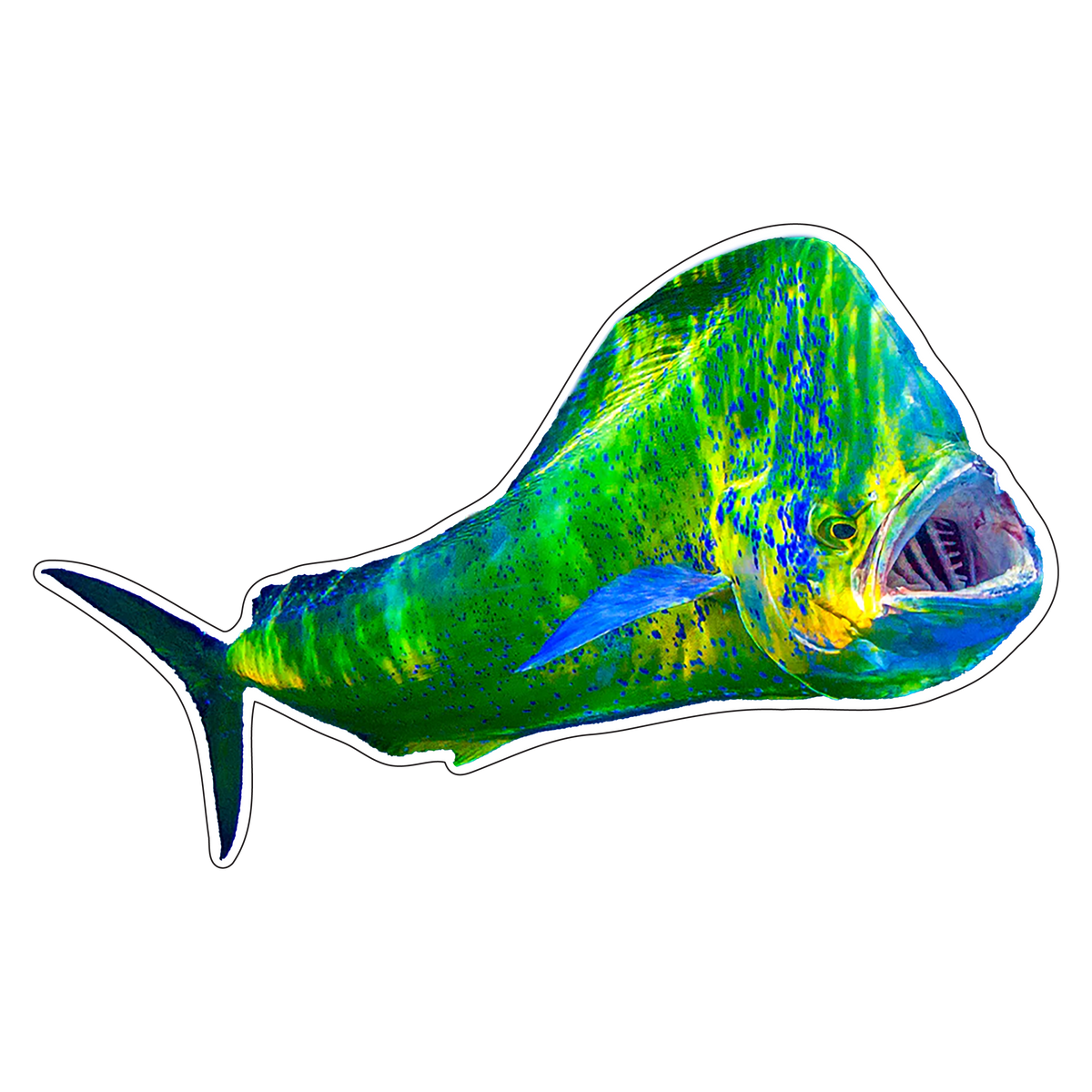 Mahi Mahi (Option 1)