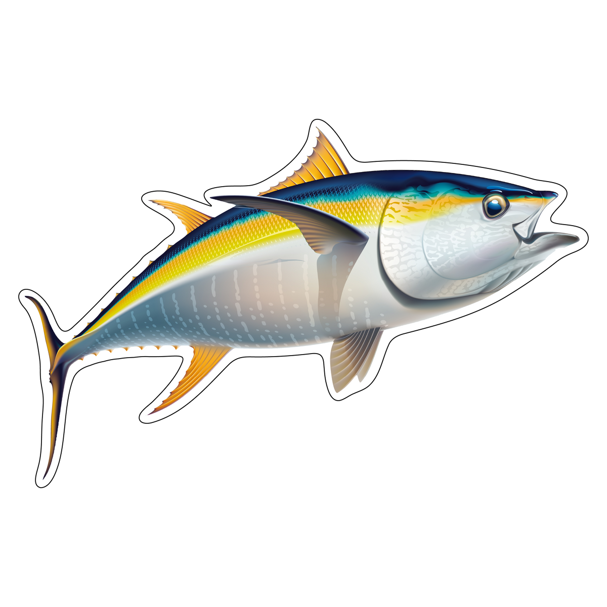 Yellowfin Tuna