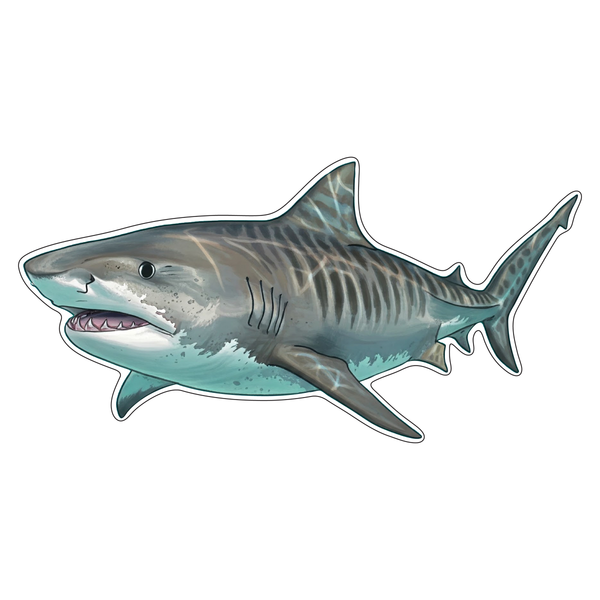 Great White Shark (Option 1)