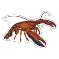 Maine lobster