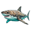 Great White Shark (Option 2)