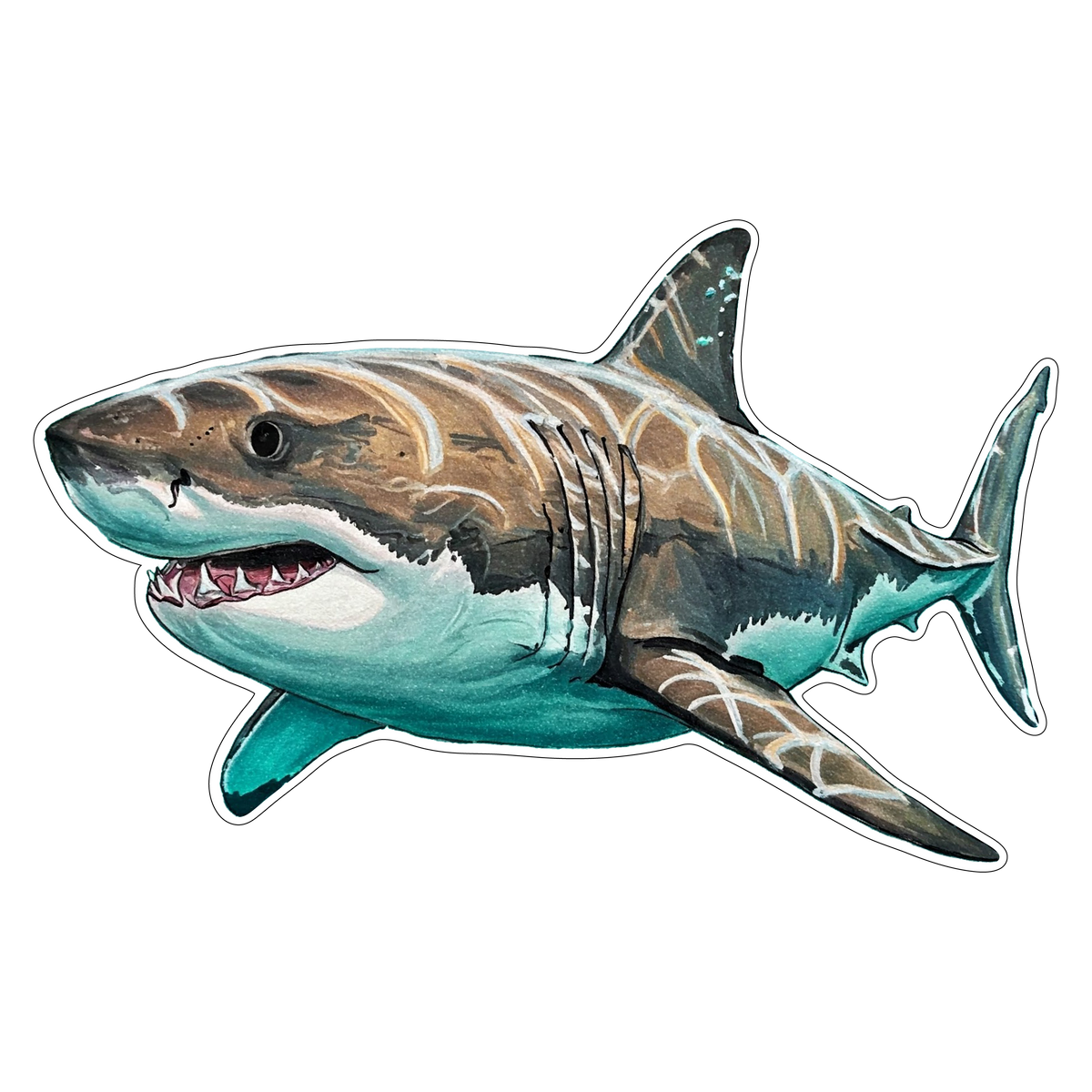 Great White Shark (Option 2)