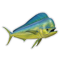 Mahi Mahi (Option 2)
