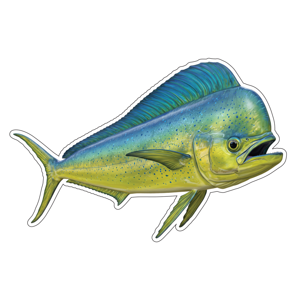 Mahi Mahi (Option 2)