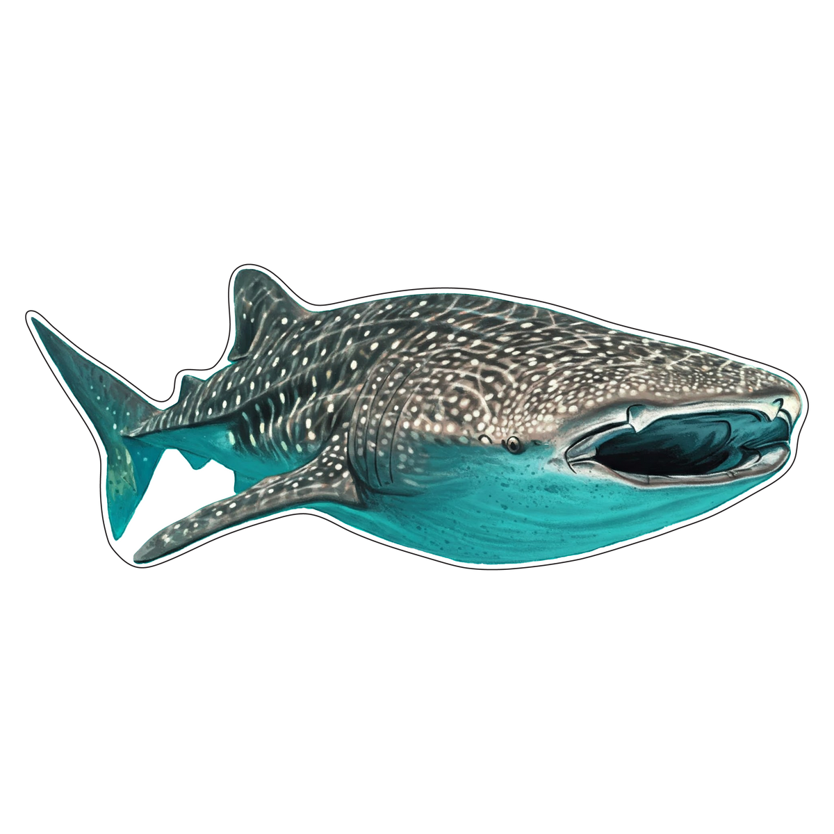 Whale Shark