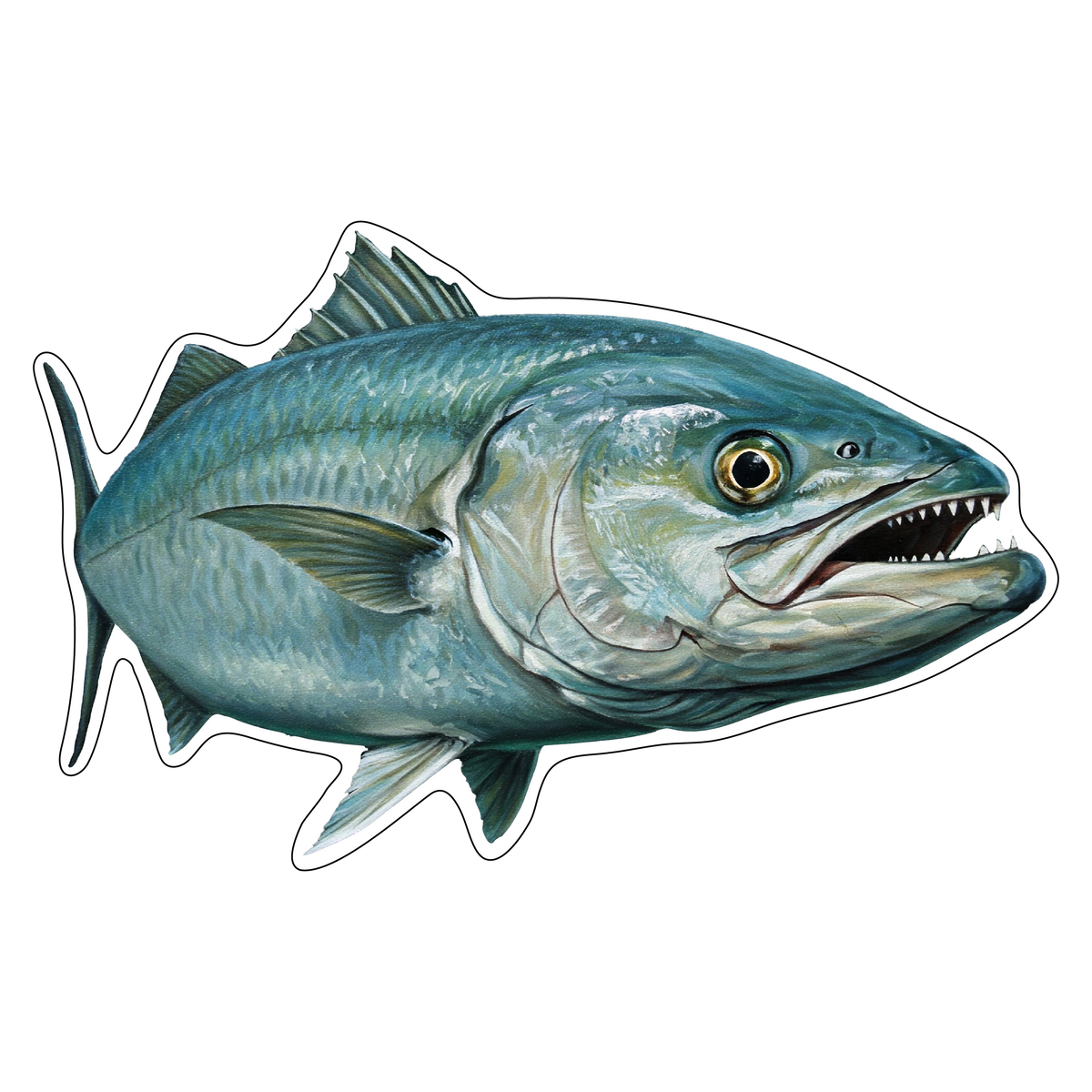 Blue Fish (option 1)