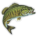 Smallmouth Bass