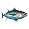 Blue Fin Tuna (Option 1)