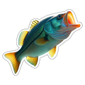 Common Snook